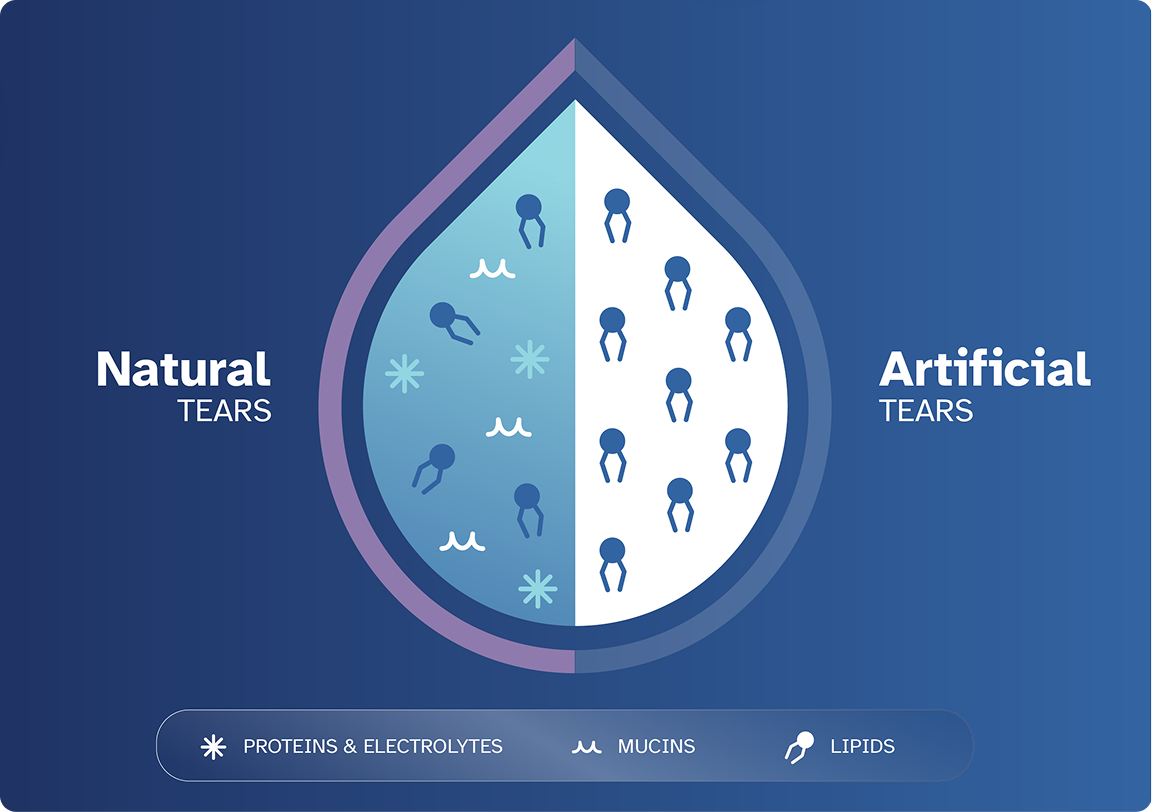 Illustrated tear cross-section between natural and artificial tears that depicts the difference in nutrients. 